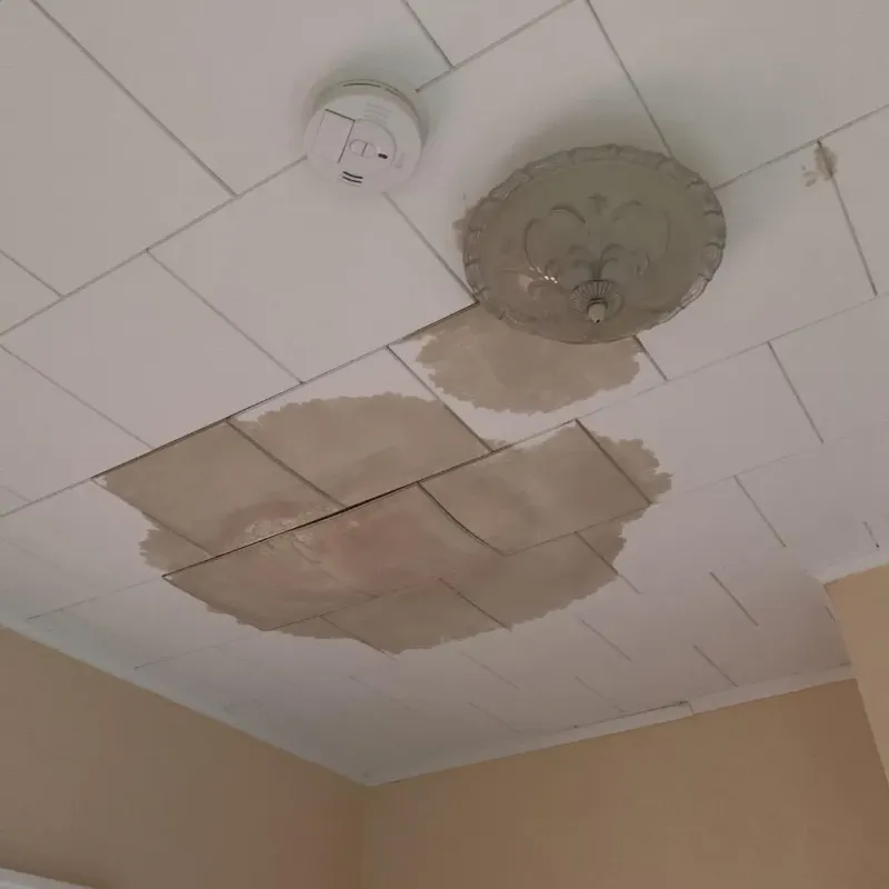 Ceiling Water Damage Repair in Hancock County, WV