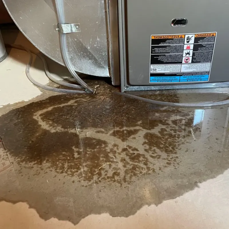 Pipe Burst and Leak Restoration in Hancock County, WV