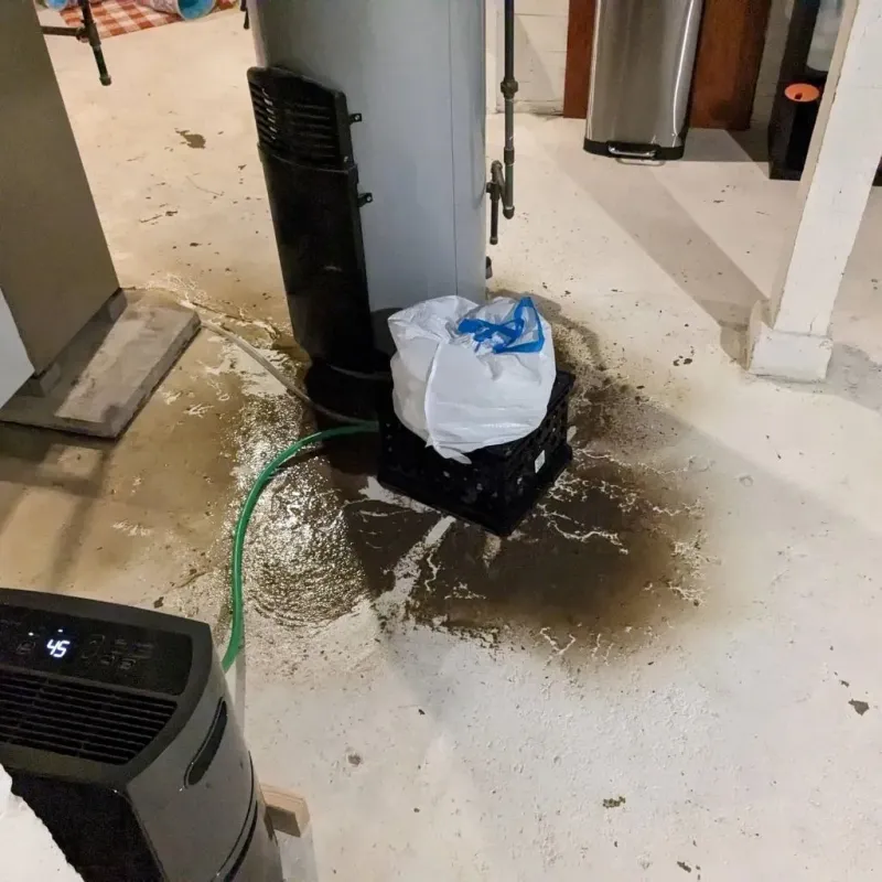 Sewage Backup Cleanup Service in Hancock County, WV